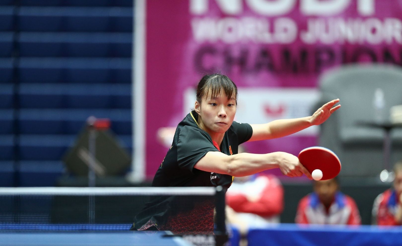 可转化的城 可转化的城